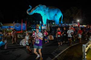 BIB: 
                            <button type="button" onclick="openModal(26552306)" class="btn btn-primary btn-sm float-right btn-popup" data-toggle="modal" data-target=".modal-high-quality">
                        <i class="fas fa-shopping-cart"></i> Add to Cart
                    </button>
                                            <button type="button" onclick="isThisMe(26552306, true)" class="btn btn-success btn-sm float-right btn-popup btn-isme hidden" data-toggle="tooltip" data-placement="bottom" title="นี่คือรูปของคุณใช่ไหม คลิกที่นี่เพื่อเอาเข้าอัลบั้ม">
                        <i class="fas fa-plus"></i> Add to album
                    </button>
                    <button type="button" onclick="isThisMe(26552306, false)" class="btn btn-warning btn-sm float-right btn-popup btn-isnotme hidden">
                        <i class="fas fa-ban"></i> Remove from album
                    </button>